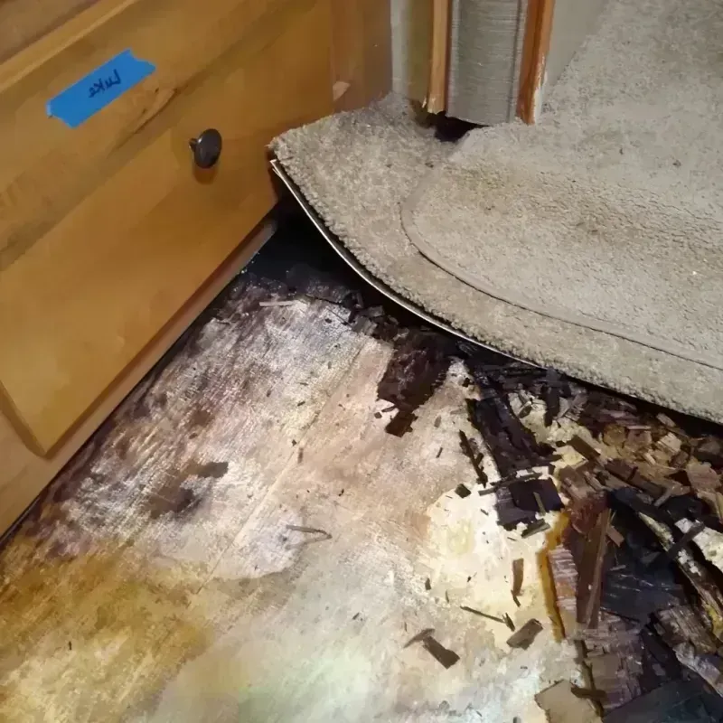 Best Wood Floor Water Damage Service in Depew, NY